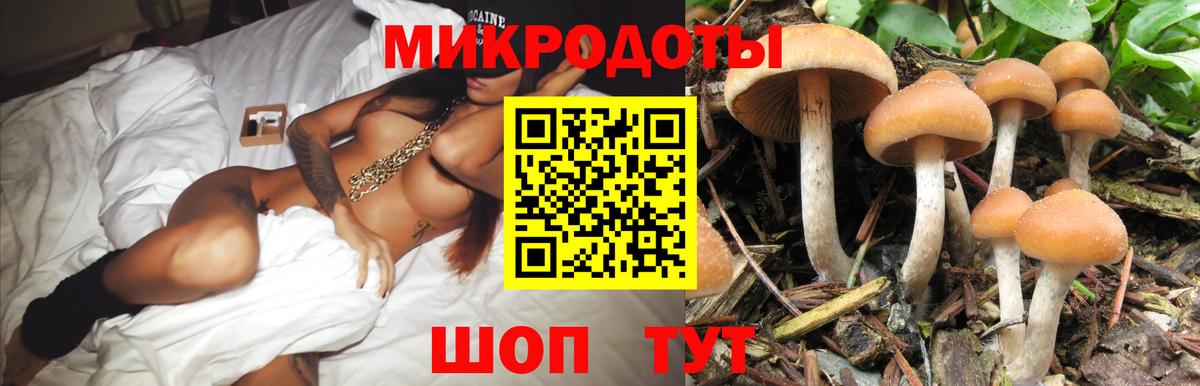 Галлюциногенные грибы MAGIC MUSHROOMS  наркошоп  Чусовой  Вход с VPN 